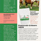 GI Renew Show, Probiotics for Equine, Immune and Appetite Stimulation, Prebiotics, Digestive Enzymes | Horse Supplement Providing Ulcer Relief and Treatment, Organic Toxin Binder, 6 LB Bag