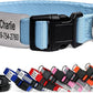 GoTags Personalized Dog Collar with Nameplate, Adjustable Dog Collar with Custom Engraved Slide On Pet ID Tag in Stainless Steel, Silent, No Noise Dog Tag (Light Blue, Medium)