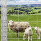 Cattle Farm Fence, 4ft x 164ft Galvanized Wire Fencing for Goat Deer Yard Livestock Animals Protection