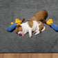 Dog Pee Pad Washable-Extra Large Instant Absorb Training Pads Non-Slip Pet Playpen Mat Waterproof Reusable Floor Mat for Puppy/Senior Dog Whelping Incontinence Housebreaking (31"x36"-(2PACK))