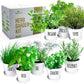 Deluxe Indoor & Outdoor Herb Garden Kit – 8 or The Most Popular Culinary Herbs with Pots & Soil for Windowsill or Patio Growing