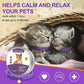 4 Pcs Cat Calming Collar Adjustable Lavender Scent Relaxing Cat Collar with 2 Pendant for Puppies Reduce Stress Aggression Anxious, up to 15 Inches(Purple, Gold)