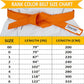 TWISTER Rank Belts for Martial Arts, Karate, Aikido, Taekwondo, Judo | Premium Cotton | Strong & Vibrant Colors