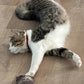 Refillable Kitty Crinkle Furry Catnip Toy