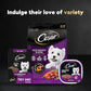 Cesar Filets in Gravy Wet Dog Food Filet Mignon Flavor, 1.76 oz. Mini-Pouch (20 Count, Pack of 1)