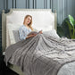 Cozy Bliss Faux Fur Throw Blanket for Couch, Cozy Soft Plush Thick Winter Blanket for Sofa Bedroom Living Room, 60 * 80 Inches Grey