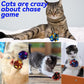 Cat Crinkle Ball Toys 10 Packs for Indoor Cats to Kill Time and Keep Fit, 2.3 Inch Colorful Mylar Crinkle Balls Attract Cats to Swat, Bite, Hunt, Interactive Toys for Cats and Kittens