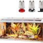 Prolee Bearded Dragon Tank, Reptile Enclosure, Snake Tank, Reptile Terrarium, Built-in Light Fixtures with Switch, (37 Gallon, 40" Long, Thick Wood Roof)