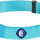Blueberry Pet Essentials X-Small Dog Collar in Turquoise | Adjustable & Eco-Friendly Durable Nylon Strap | Classic Collar for X-Small Dogs, Boy & Girl Pets