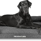 The Dog’s Bed, XXL Grey Linen 51.5x39, Memory Foam, Pain Relief: Arthritis, Hip & Elbow Dysplasia, Post Surgery, Lameness, Supportive, Calming, Waterproof Washable Cover, Veterinary Approved