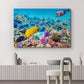 wall26 Canvas Print Wall Art Tropical Underwater Ocean Sea Fish Reef Nature Animals Photography Realism Rustic Scenic Landscape Wilderness Earth Colorful for Living Room, Bedroom, Office - 24"x36"
