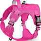 rabbitgoo Dog Harness for Large Dogs No Pull, Tactical Service Pet Vest with Molle and Control Handle, Adjustable and Reflective Military Harness for Easy Walking and Training, Rose Red, L