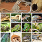 ZeeDix 10 Pieces Coconut Fiber Reptile Substrate Mat, 14 x 14 inches Natural Coco Coir Mat Turtle Bedding Tortoise Carpet Reptile Terrarium Liner for Lizard Snake Turtle Gecko Bearded Dragon