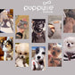 Puppytie No Pull XXS Puppy Harness with Multifunction Dog Leash,Soft Adjustable No Choke Escape Proof Pet Harness Vest,Silver Grey,XXS