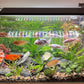 Advanced 7-Row LED Aquarium Light, Easy Setup Controller, Auto On Off Full Spectrum Fish Tank Light, 24/7 Lighting Cycle, 8 Colors, 10 Level Dimming, 40W for 30"-36" Freshwater Planted Tank