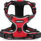 rabbitgoo Dog Harness No Pull with 2 Leash Clips, Adjustable Soft Padded, Reflective Oxford No Choke Pet Vest with Easy Control Handle for Large Dogs, Red, XL