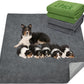 LOOBANI 2 Packs Extra Large Reusable Dog Mat for Floor, Non-Slip Washable Pee Pads for Dogs, Fast Absorbent Pet Whelping Pads, Puppy Playpen Mat for Incontinence, Housebreak, Crate, 72x72in, Mix