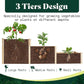 AMERLIFE 3-Tier Raised Garden Bed for Outdoor Gardening, Fir Wood Planter Box with Dividers, Tool-Free Assembly, Garden Box Perfect for Vegetables, Herbs, and Flowers