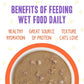 Weruva B.F.F. OMG - Best Feline Friend Oh My Gravy!, Chicken & Salmon Shine Bright with Chicken & Salmon in Gravy, 2.8oz Pouch (Pack of 12)