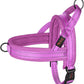 Didog No Pull Dog Harness with Soft Mesh Padded,Reflective & Quick Fit Light Weight Dog Strap Vest Harness,Easy for Walking Training (S:Chest 18-22", Purple)