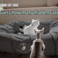 XxingSheep 4 Ways Shuttled XL Cat Tunnel Bed for Indoor Cats Peekaboo Cat Cave Donut with Cool Mat (Dark Gray)