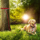 Tresbro 25FT Red Reflective Tie Out Cable for Dogs Up to 125 Pounds, Steel Wire Lead Leash with Stainless Rotatable Buckle, Lightweight and Enduring, Dog Chains Outside for Outdoor,Yard,Camping