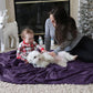 Bedsure Fleece Blanket Twin Blanket Purple - 300GSM Soft Lightweight Plush Cozy Twin XL Blankets for Bed, Sofa, Couch, Travel, Camping, 66 inch X 90 inch