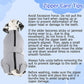 Lukovee Recovery Suit for Dogs - Zipper On Onesie for Female & Male Dogs, Abdominal Wounds Cone E-Collar Alternative, Prevent Licking - Spay Recovery Suit (Grey, XL)