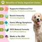 Wholistic Pet Organics: Probiotic Chews for Dogs Digestive Health - 60 Count - Dog Probiotics and Digestive Enzymes - Support Gut Health Immune Supplement Prevents Dog Digestive Problems