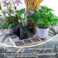 45lb River Rocks Pebbles for Plants & Succulents, Decorative Outdoor Landscaping Garden Rocks, Natural Small Mexican Beach Pebbles Aquarium Rocks Gravel for Fish Tanks Vase Yard Decor
