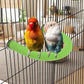 Rypet U Shape Parrot Perch Stand Toy for Paw Grinding Clean Stick Exercise, Rough-Surfaced Quartz Bird Perch Standing Cage Accessories for for Small Parakeets Cockatiels Conures Macaws Finches(Green)