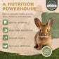 20lb Freshly Dried Organic Alfalfa Hay for Guinea Pigs, Rabbits, Chinchillas, Goats, Hamsters & Ferrets, Small Animal Food Rich in Protein & Fiber, Hand-Selected, Hand sorted, USA Grown