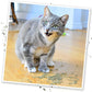 Meowijuana Purrple Passion - Premium Silvervine and Catnip Blend - Purrfect Gift For Cats, Kitties, Felines, and Cat Lovers