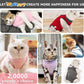 Cat Recovery Suit for Spay Abdominal Wounds, Kitten Onesie Bodysuit for Cats After Surgery, Cat Surgery Recovery Suit Female Cone of Shame Alternative for Cats Anti Licking (Dark Grey M)