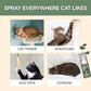 JAYU PET Active Catnip Spray - High Potency Transparent Liquid Spray made of Fresh Organic Catnip for Indoor Cats and Kittens, Relieves Stress, Calming, Revives Toys (1fl oz) (Catnip Spray, 1fl oz)