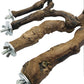Allazone 4-Piece Bird Perch - Natural Grapevine Stick Swing Chewing Toys for Parrot Cages, Cockatiels, Parakeets, Finches