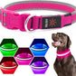 Flashseen LED Dog Collar, USB Rechargeable Light Up Dog Collar Lights, Adjustable Comfortable Soft Mesh Safety Pet Collar for Small, Medium, Large Dogs(Medium, Candy Pink)