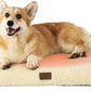 Bedsure Self Warming Dog Bed for Medium Dogs - Orthopedic Waterproof Puppy Beds with Removable Washable Cover, Egg Crate Foam Pet Mat, Suitable for Pet Up to 35 lbs