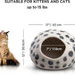 Luxurious Eco-Friendly Merino Wool Cat Cave Bed - Foldable Hideaway Pod for Indoor Cats - Premium Felt Kitten Beds - Covered Cat House for Ultimate Cozy Comfort by Woolygon