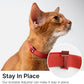Safety Cat Collar Pro - U.S. IDA Gold Awarding Design, Elastic Quick Release Cat Collar with Buckle Non Breakaway - Lightweight for Kitten All Small Large Cats (Sierra Blue, M 7.9-15.7")