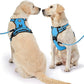 NESTROAD No Pull Dog Harness,Adjustable Oxford Dog Vest Harness with Leash,Reflective No-Choke Pet Harness with Easy Control Soft Handle for Small Dogs(X-Small,Blue)