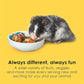 Kaytee Fiesta Hamster Gerbil, 2.5-Pound