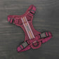 Wilderdog Lightweight Dog Harness with Reflective Straps - Small - Huckleberry
