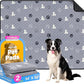 Washable Pee Pads for Dogs, 2 Pack Reusable Puppy Pads, Waterproof Pet Pee Pads for Dog Potty Training, Extra Large Dog Pee Pads for Crate, Playpen, and Whelping, Durable and Absorbent, Grey 34"x52"