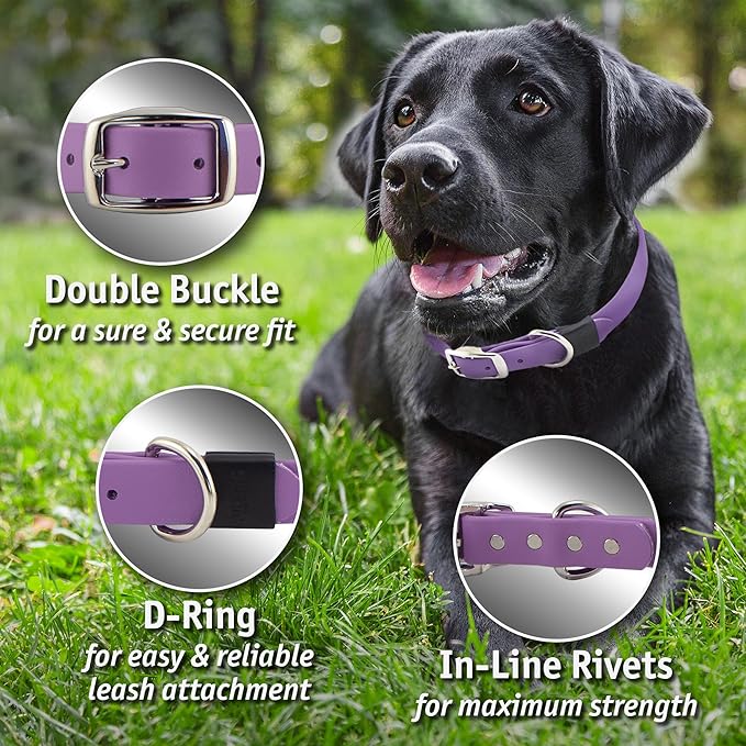Biothane Custom Dog Collar – Waterproof, Stink-Proof Personalized Collar with Name & Phone Number – Durable, Many Sizes and Colors – Assembled in USA – Assembled in USA (Teal)