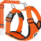 Lukovee Dog Seat Belt - Adjustable Dog Car Harness for Large, Medium & Small Dogs, Soft Padded & Breathable Mesh Dog Seatbelt with Vehicle Connector Strap (Orange, X-Small)