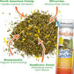 Meowijuana Ruby Rascal Bundle | Get Silly Refillable Ruby Rascal Toy and Sierra Sunshine Catnip Blend | Promotes Play and Cat Health | Includes North American Organic Catnip