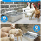 Automatic Dog Water Dispenser, 2 Gallons 304 Stainless Steel Dog Water Bowl for Indoor/Outdoor, Large Water Bowl for Pets & Livestock, Anti Tip, Wide Mouth, Water Auto Fill, Fit GHT 3/4" Faucet