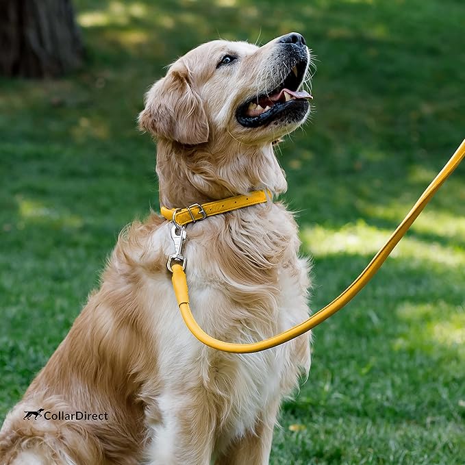 CollarDirect Rolled Leather Dog Collar, Soft Padded Round Puppy Collar, Handmade Genuine Leather Collar Dog Small Large Cat Collars 13 Colors (6-7 Inch, Yellow Textured)