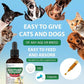 Kennel Cough Drops for Dogs & Cats Cough Relief Dry and Wet Pet Cough Allergy Relief - for Dogs of All Breeds & Sizes